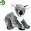 Plyšová koala 25 cm - plyšové hračky