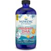 Nordic Naturals Children's DHA, Omega 3 pre deti, Príchuť jahody, 473 ml