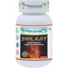 Shilajit MUMIO - Energia, Výdrž - 500 mg, 60 kapsúl
