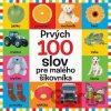 Prvých 100 slov pre malého šikovníka - Svojtka&Co.