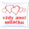 Divja Vankúšik s nápisom Vždy áno! Miláčik