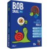 Bob Snail Snack s jablkami a čučoriedkami bez pridaného cukru - 100 g