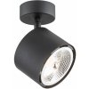 Argon Clevland stropné svietidlo 1x12 W čierna 4703BZ