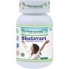 Shatavari - 500 mg, 60 kapsúl