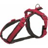Trixie Premium trekingový úvazek, M–L: 62–74 cm/25 mm, fuchsie/grafit