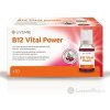 LIVSANE B12 Životná sila roztok v ampulkách 10x10 ml (100 ml)