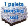 Morská soľ do bazéna Certifikovaná 1000 kg 40 vriec s dopravou