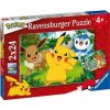 Puzzle: Pokemon Pikachu and Pals