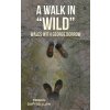 A Walk in Wild Wales with George Borrow (Llaw Terens Dafydd)