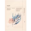 Ondo Beauty 36.5 CHOK-CHOK Hyaluronic Acid & Algae Moisture Boosting Mask 25 g
