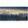 Foto obraz fotografie na skle Hmla nad lesom 100x50 cm
