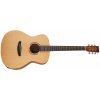 Tanglewood TR 3 E