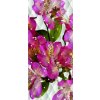 AG Design fototapeta FTN V 2934 Apple blossom 90 x 202 cm (VLIESOVÁ FOTOTAPETA 1-DIELNA)
