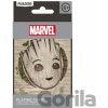 Groot v boxe