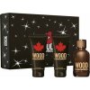 Dsquared2 Wood toaletná voda pánska 100 ml