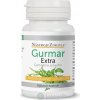 NástrojeZdravia GURMAR EXTRA GYMNEMA SYLVESTRE cps 1x60 ks