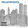 BEASTIE BOYS - TO THE 5 BOROUGHS (2VINYL)