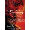 Shamanic Dreaming