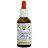 Salvia Paradise Tužebník jilmový AF tinktura 50 ml