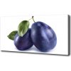 Foto obraz na plátne Slivky 100x50 cm