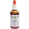 Salvia Paradise Štětka lesní AF tinktura 50 ml