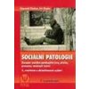 Sociální patologie - Závažné sociálně patologické jevy, příčiny, prevence, možnosti řešení