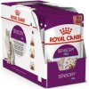 Royal Canin FHN sensory feel gravy 12x85g kapsičky pre mačky