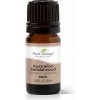 Plant Therapy Australian sandalwood santalové drevo esenciálny olej 5 ml