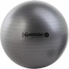LEDRAGOMMA TONKEY PHYSIO BALL Maxafe 120 cm