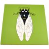 Moyo Montessori puzzle mucha