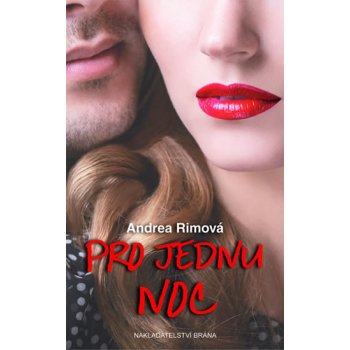 Pro jednu noc - Andrea Rimová