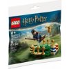 LEGO Harry Potter 30651 Tréning metlobalu
