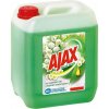 Ajax na podlahy Floral Fiesta 5 l Spring Flowers (zelený)