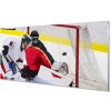 Obraz plexi Brána hokej 100x50 cm