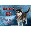 Pozorpes.sk, výstražná tabuľka (Sibírsky hasky)