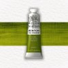 OLEJOVÁ FARBA - WINSOR & NEWTON - WINTON - 37 ML | SAP GREEN
