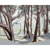ZUTY Maľovanie podľa čísel - SNEŽNÁ SOVA A LES V ZIME (D. RUSTY RUST) Rámovanie: bez rámu a bez vypnutia plátna, Rozmer: 80x100 cm