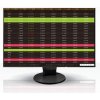 EIZO FlexScan/EV2456/24,1