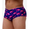 Funky Trunks Boy's Sidewinder Trunks Flocked Up
