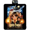 Blue Sky Studios Pikniková deka Harry Potter a Kámen mudrců