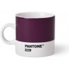 Pantone Espresso Aubergine 229 120 ml