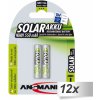 12x2 Ansmann maxE NiMH aku Micro AAA 550 mAh SOLAR
