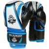 BUSHIDO Boxerské rukavice DBX ARB407v1 6 oz.