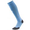 Puma Team LIGA Socks