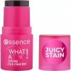 essence WHAT A TINT! multifunkčné líčidlo na pery a tvár 10 Raspberry Vibes 5 g