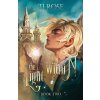 The Light Within (TJ Rose)(Brožovaná)