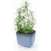 Gusta Garden GG-122F10