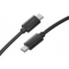 Insta360 CINSBBMP Type-C to Type-C