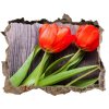 Samolepící nálepka Červené tulipány 95x64 cm