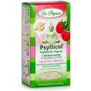 DR. POPOV Psyllicol s príchuťou maliny 100 g